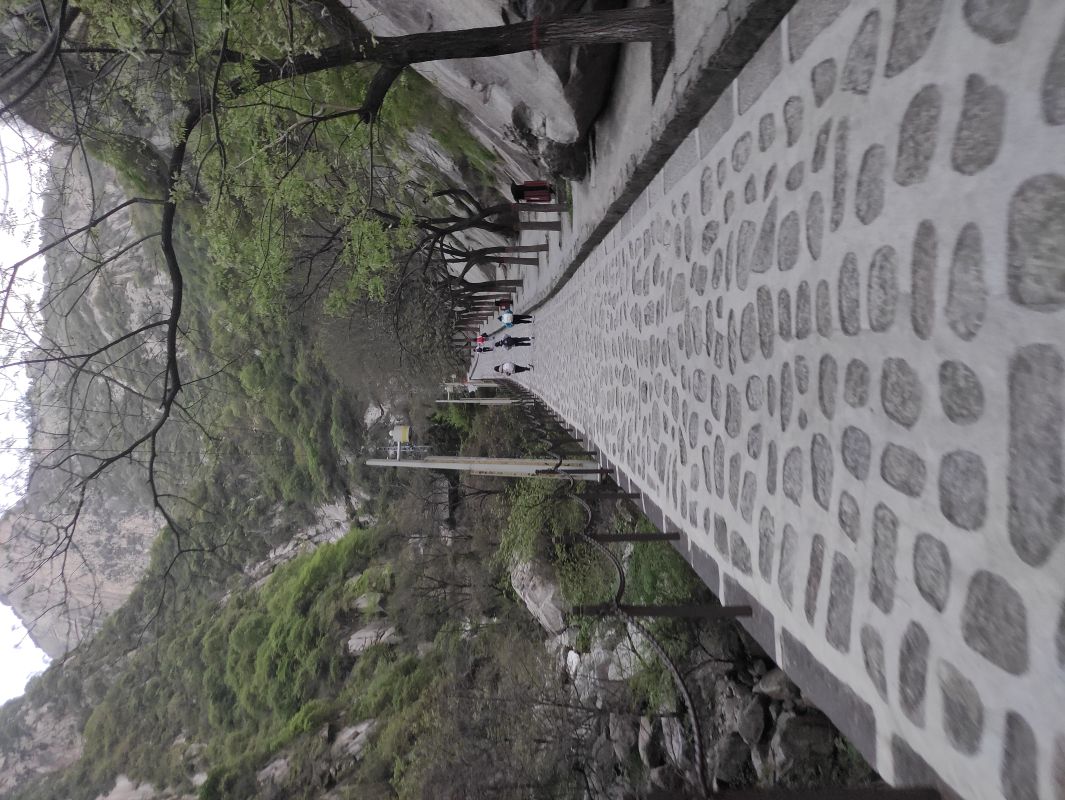 微信图片_20230409153335